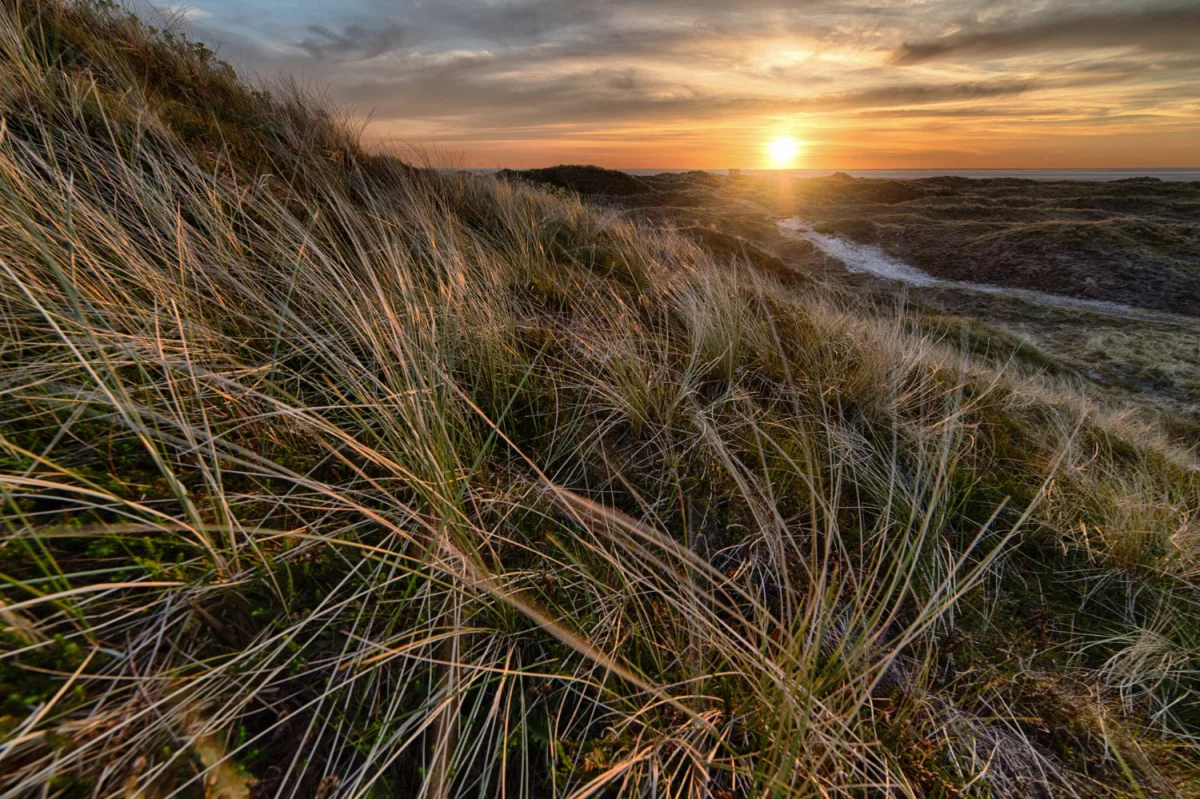 portal o medycynie? Dobrze albo wcale!