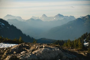 Wykańcza Cię Już Szukanie Rozwiązań Aby kupić klimatyzację?
